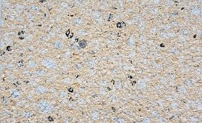 Prosatin® | Sichtbeton feingestockt