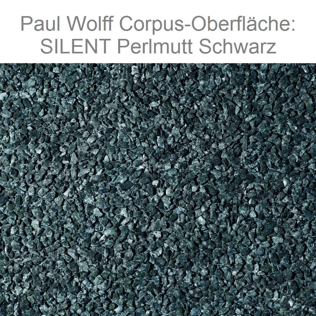 Paul Wolff Mülltonnenbox SILENT 122 Doppelschrank 2x120 Liter