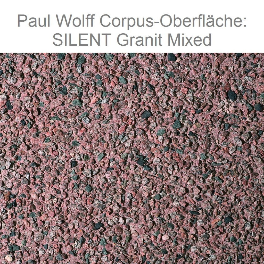 Paul Wolff Mülltonnenbox SILENT 242 Doppelschrank 2x 240 Liter